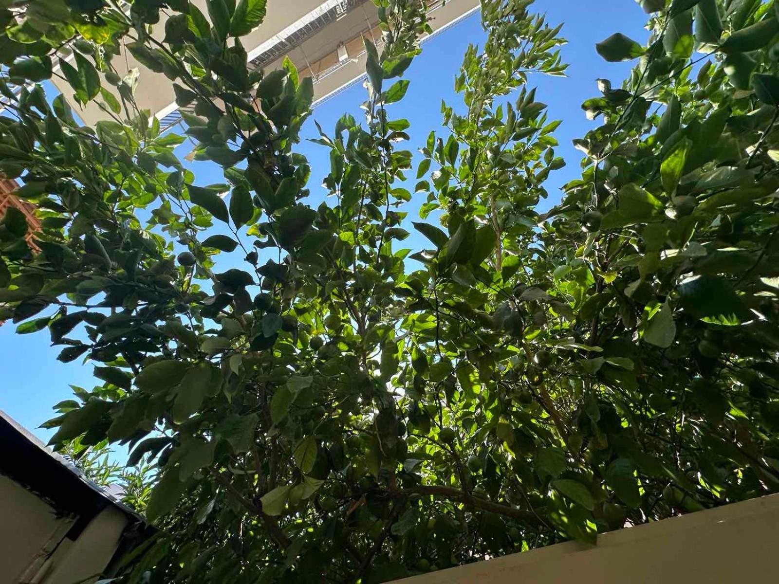 Green Spot Apartments 雅典 外观 照片